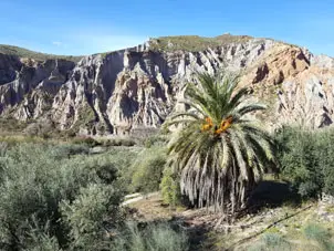 Sierra Nevada Radtouren